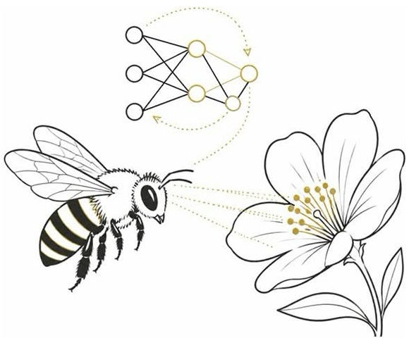 Resource-aware perception and learning